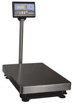 fairbanks-series-iii-general-purpose-bench-scale-60lb-to-600lb.html
